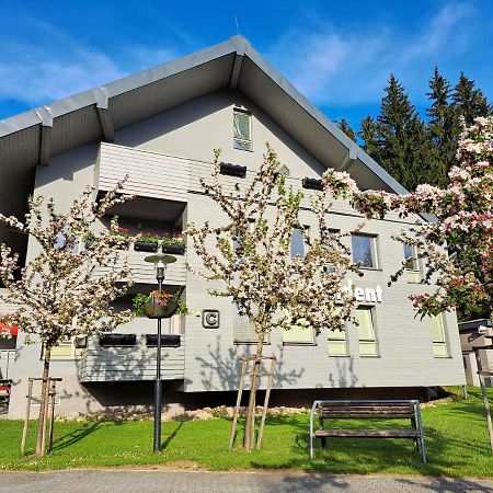 Wellness Apartment Josefina - Free Grotta Spa Wellness Harrachov Zewnętrze zdjęcie
