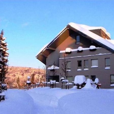 Wellness Apartment Josefina - Free Grotta Spa Wellness Harrachov Zewnętrze zdjęcie