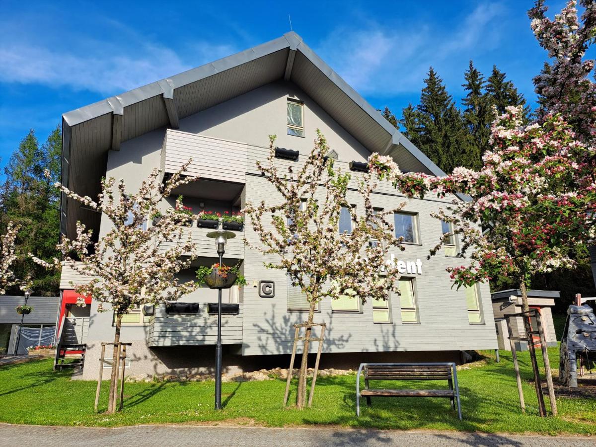 Wellness Apartment Josefina - Free Grotta Spa Wellness Harrachov Zewnętrze zdjęcie